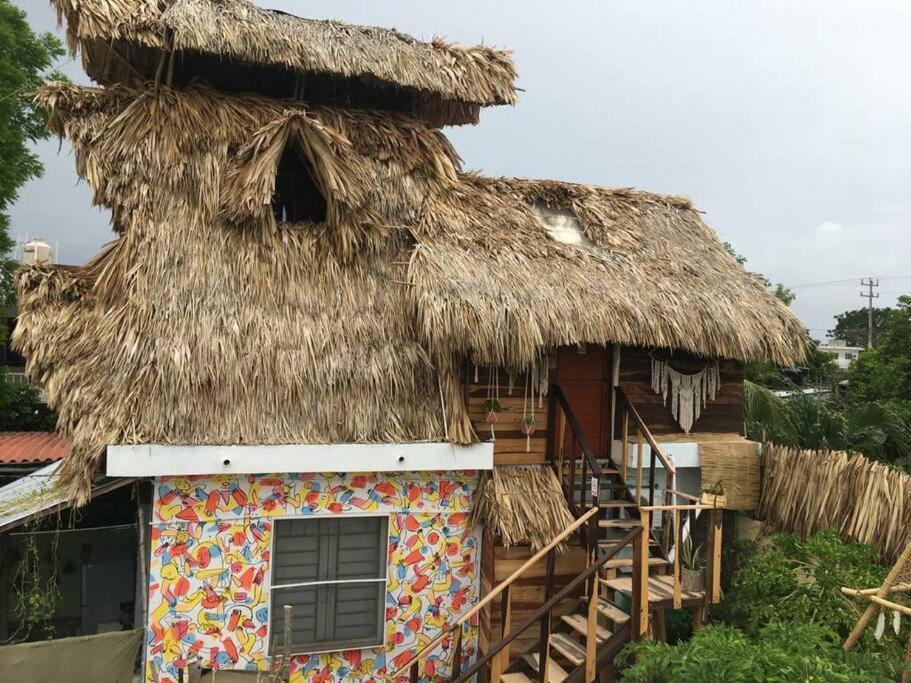 Jungla Bacalar Apartment Bagian luar foto
