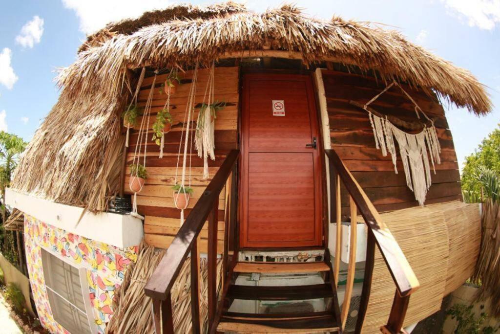 Jungla Bacalar Apartment Bagian luar foto