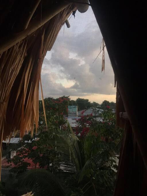 Jungla Bacalar Apartment Bagian luar foto