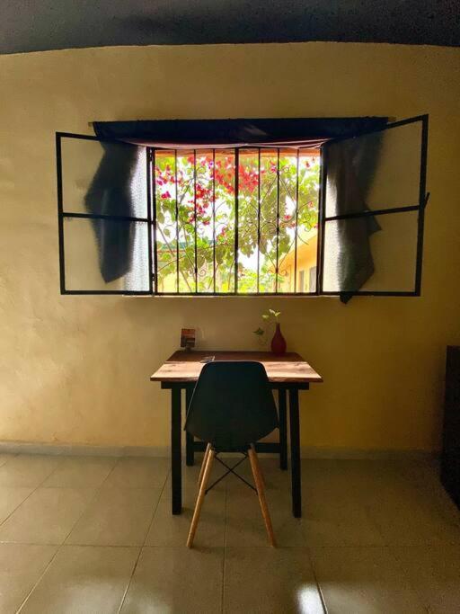 Jungla Bacalar Apartment Bagian luar foto