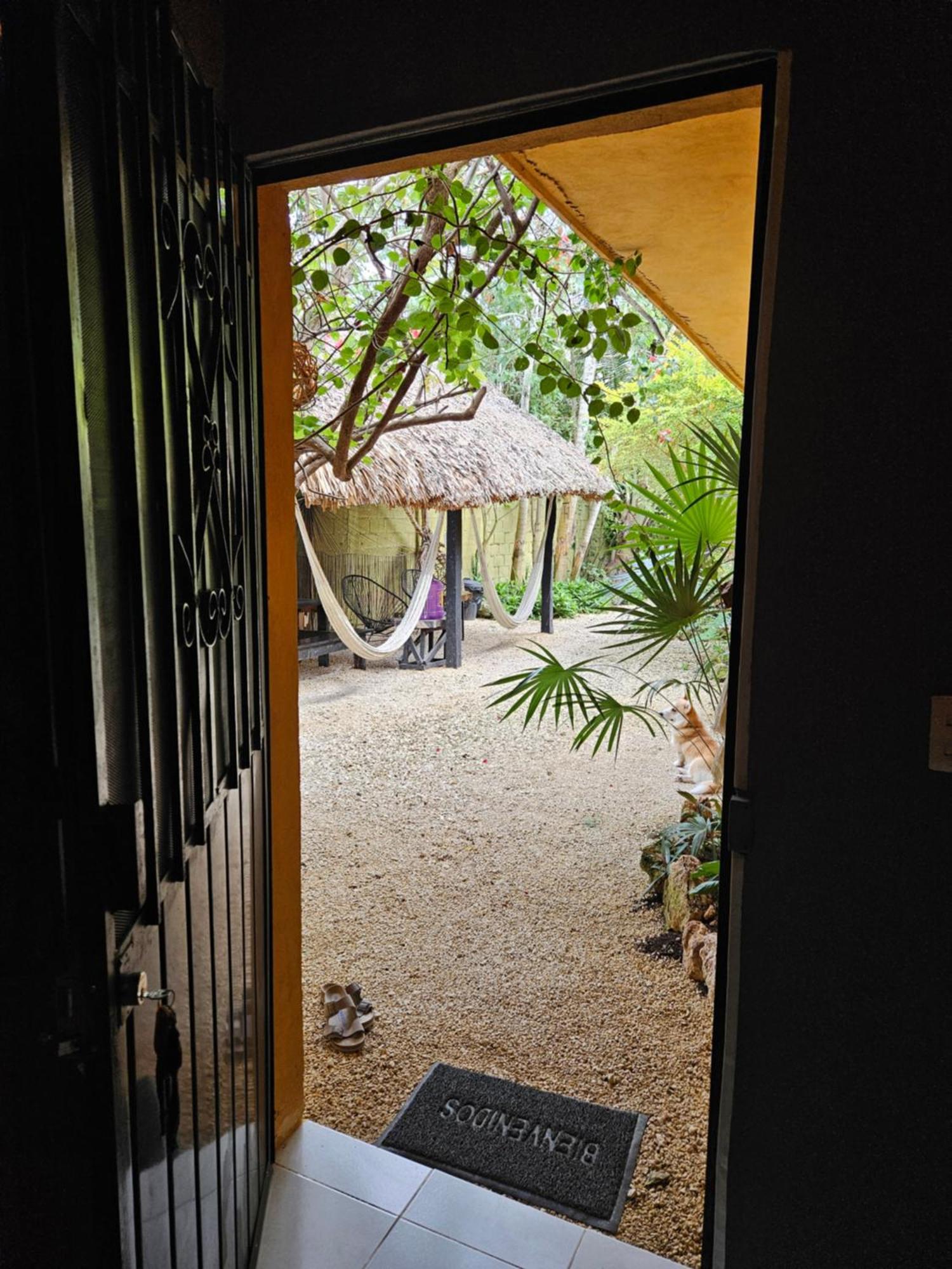 Jungla Bacalar Apartment Bagian luar foto