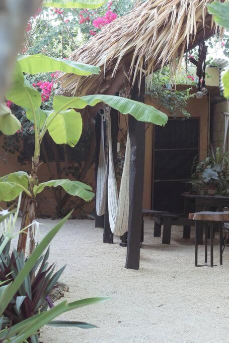 Jungla Bacalar Apartment Bagian luar foto