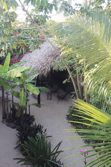 Jungla Bacalar Apartment Bagian luar foto