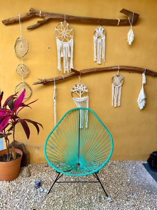 Jungla Bacalar Apartment Bagian luar foto