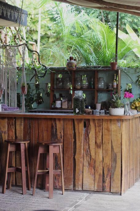 Jungla Bacalar Apartment Bagian luar foto
