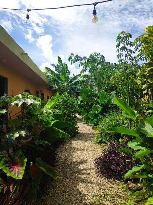 Jungla Bacalar Apartment Bagian luar foto