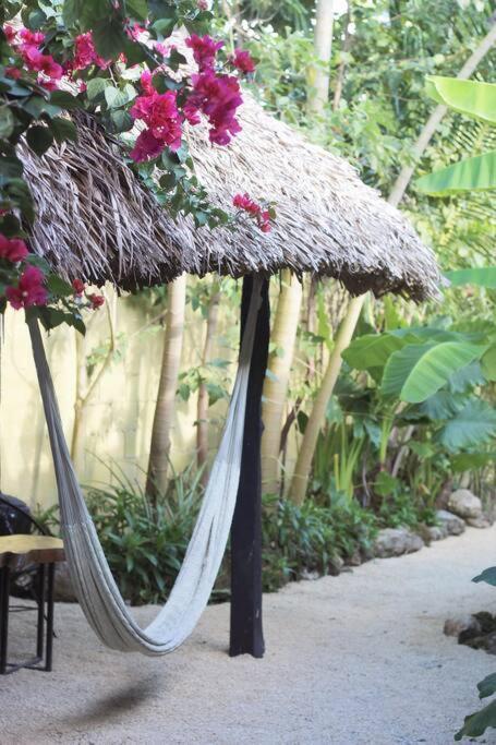 Jungla Bacalar Apartment Bagian luar foto