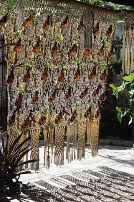 Jungla Bacalar Apartment Bagian luar foto