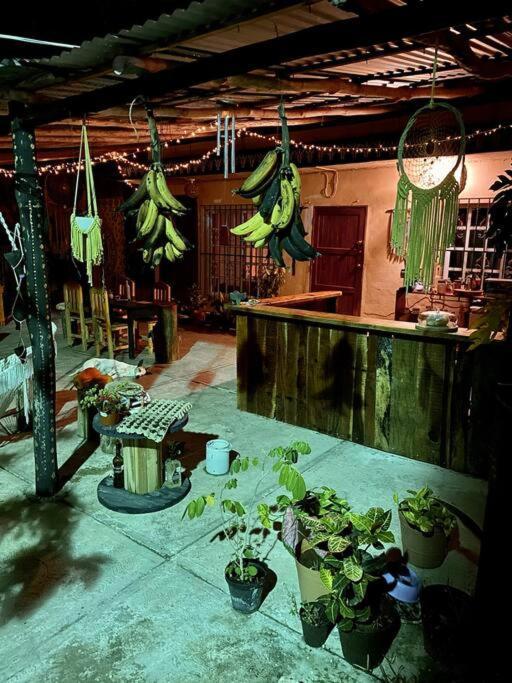 Jungla Bacalar Apartment Bagian luar foto