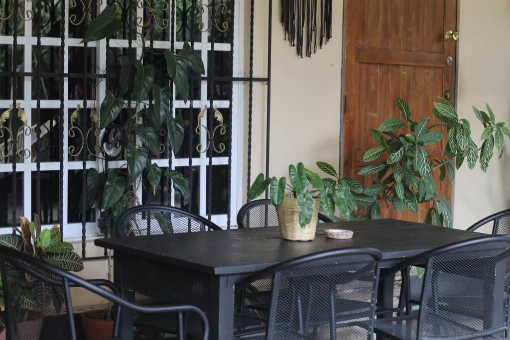 Jungla Bacalar Apartment Bagian luar foto